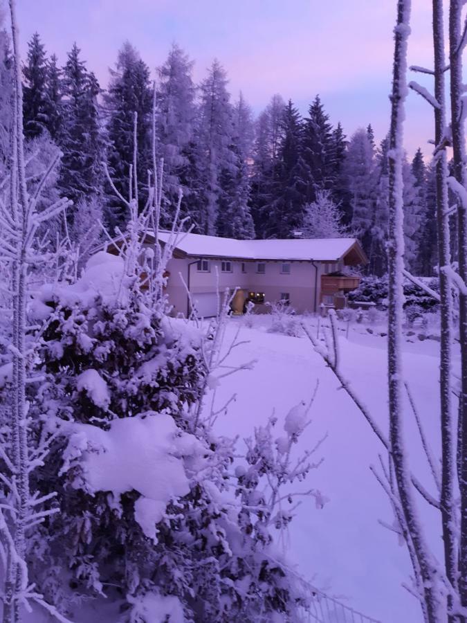 Appartement Haus Petra Leogang Kültér fotó